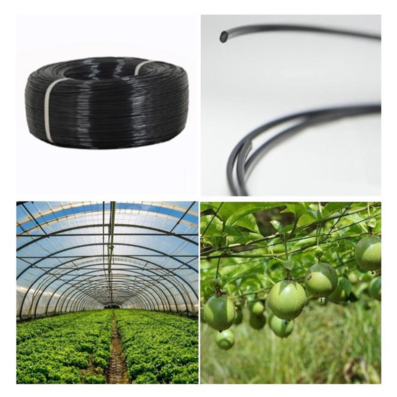Vine Climbing Plastic - Fil de soutien en acier plastifié