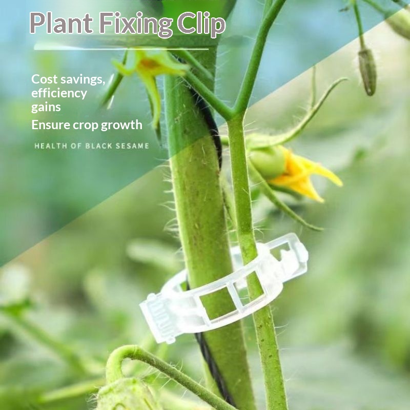 Vine Climbing Plastic - Clips de support pour plantes en