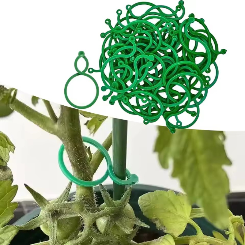 50-400 pièces de clips de supp - Vine Climbing Plastic avis et prix
