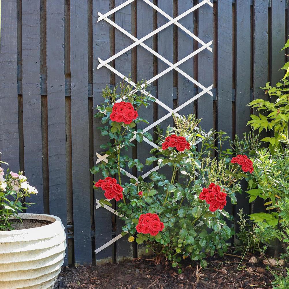 Treillis de jardin extensible  - Vine Climbing Plastic avis et prix