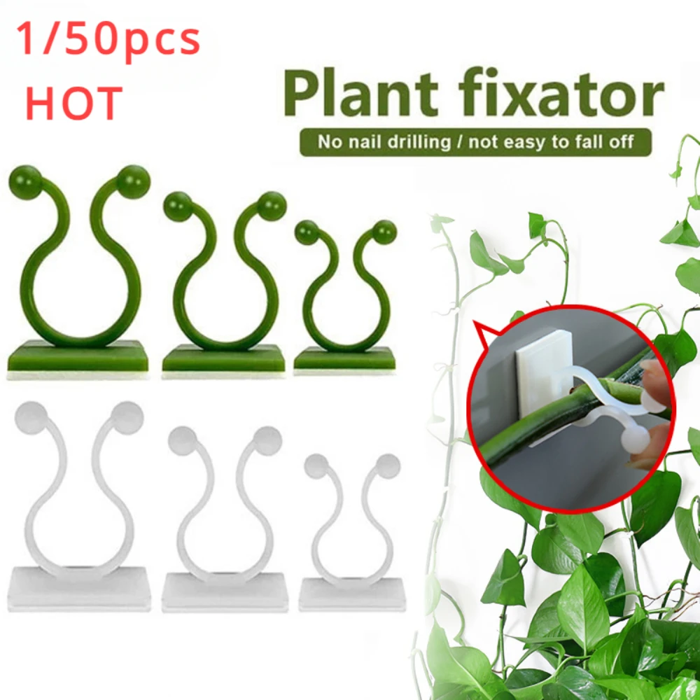1/30/50 pièces pour accessoire - Vine Climbing Plastic avis et prix