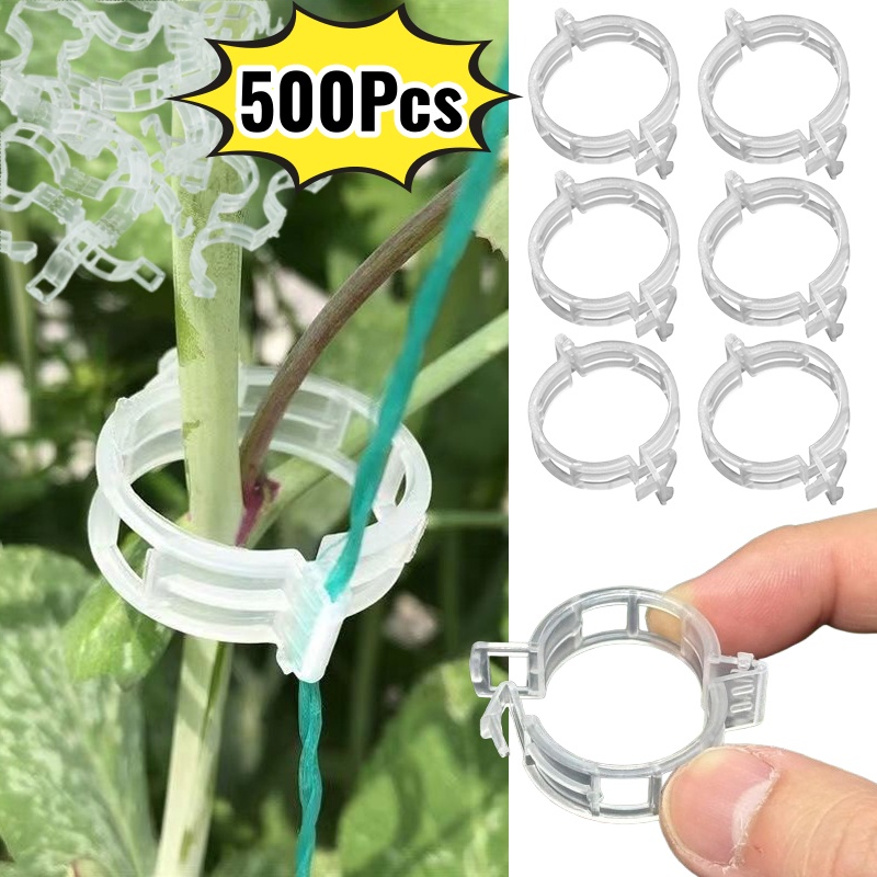 500 pièces de clips de support - Vine Climbing Plastic avis et prix