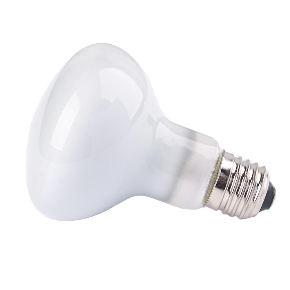 Contrôleur de température pour - Basking Bulb Halogen avis et prix