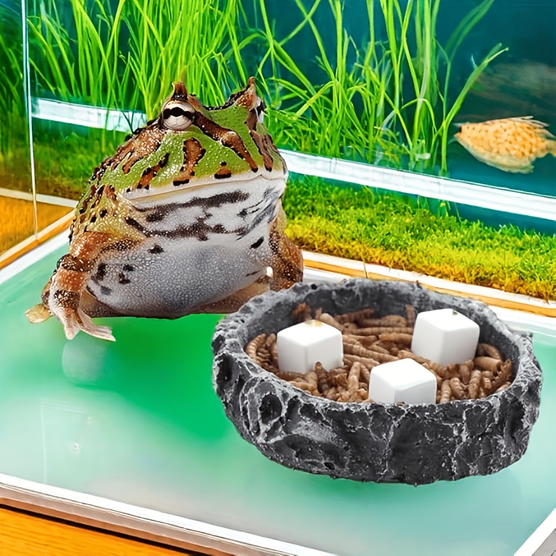 6 blocs de calcium minéral pou - Calcium Powder Reptile avis et prix