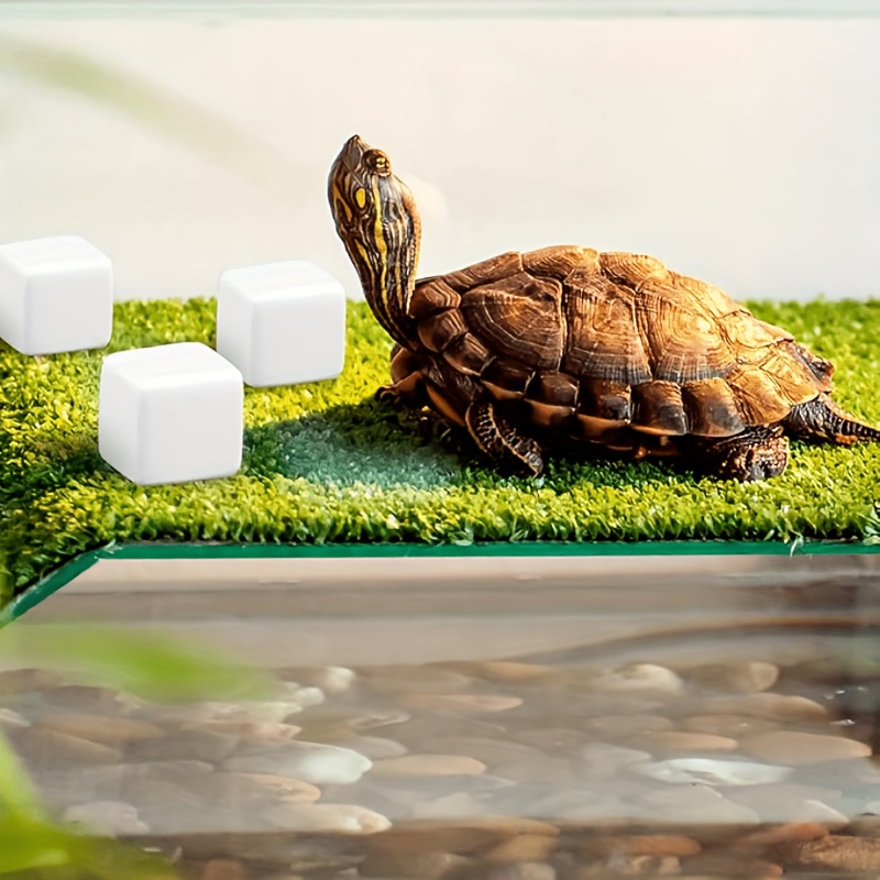 6 blocs de calcium minéral pou - Calcium Powder Reptile avis et prix