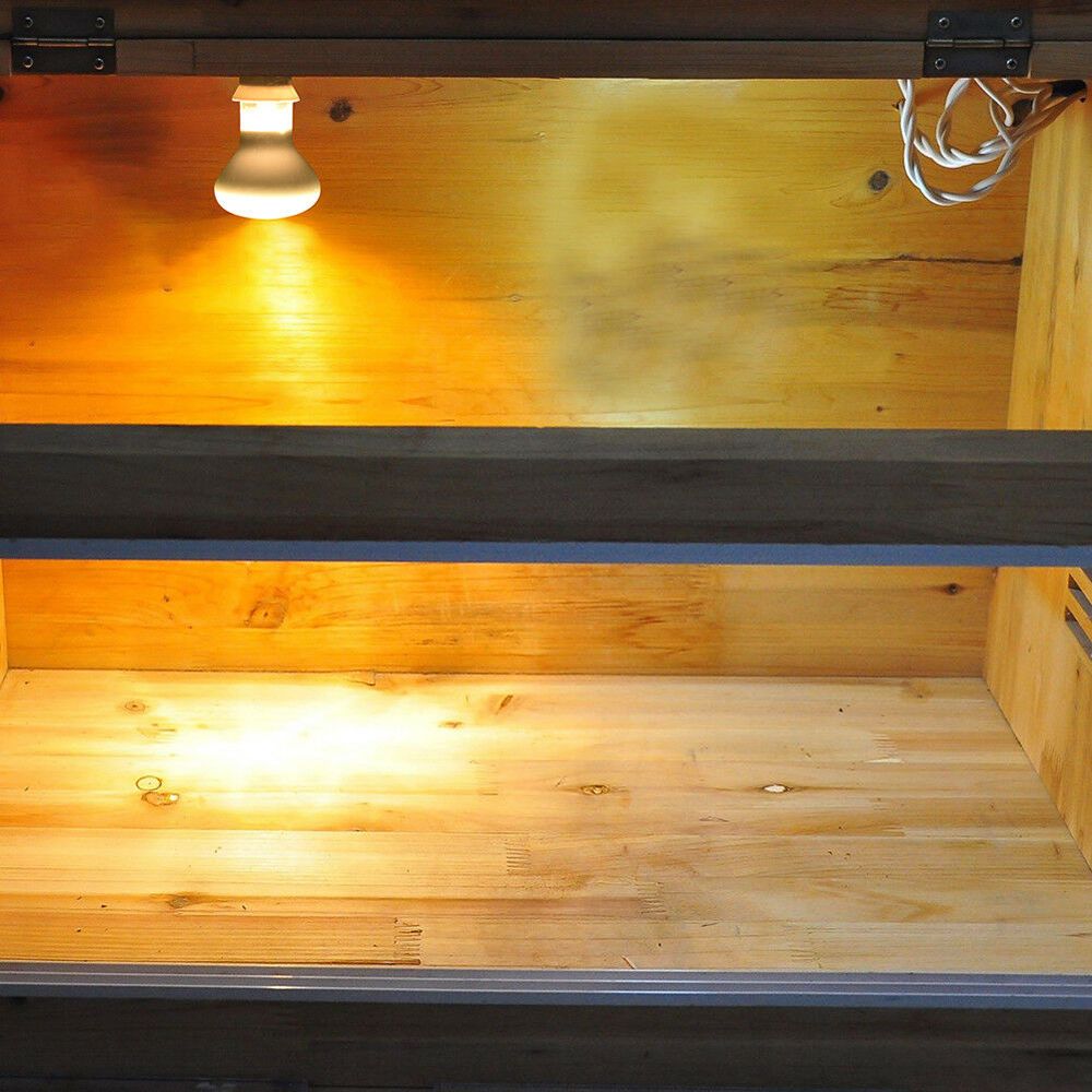Contrôleur de température pour - Basking Bulb Halogen avis et prix