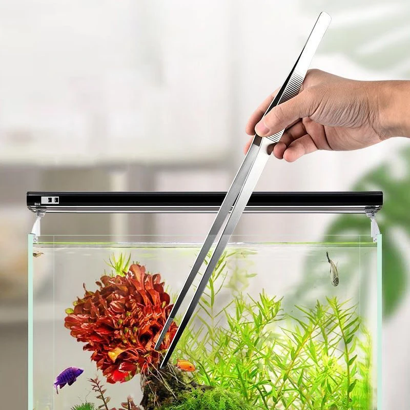 Pinces d'aquarium en acier ino - Feeding Tong Stainless avis et prix