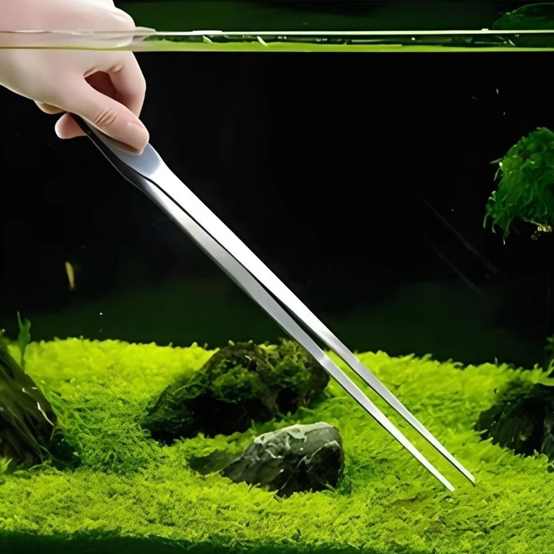 Pinces d'aquarium en acier ino - Feeding Tong Stainless avis et prix