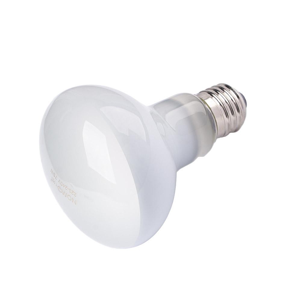 Lampe chauffante pour amphibie - Basking Bulb Halogen avis et prix