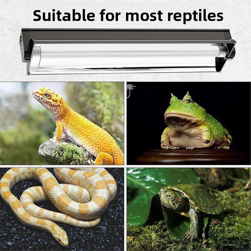Kit d'éclairage pour reptiles  - Calcium Powder Reptile avis et prix