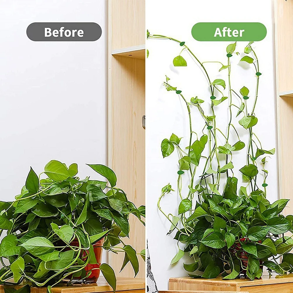 10/30/50 pièces de clips de fi - Vine Climbing Plastic avis et prix