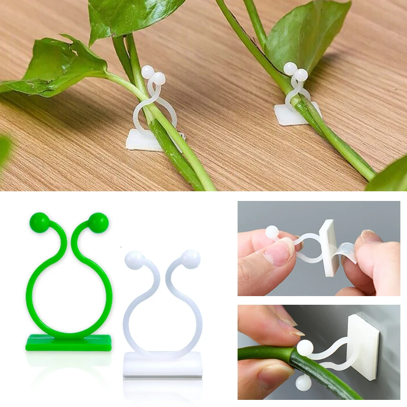 Mur d'escalade pour plantes, f - Vine Climbing Plastic avis et prix