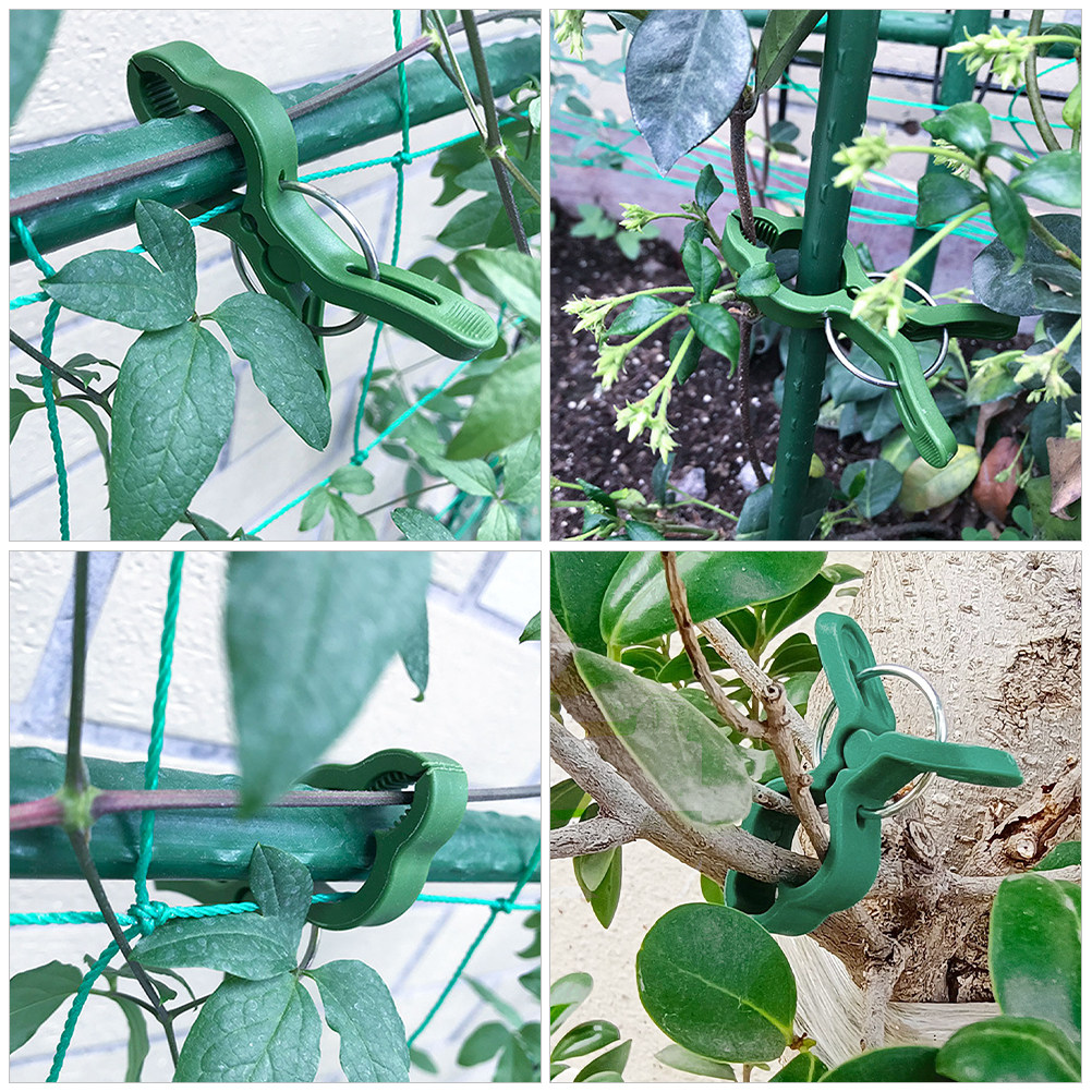 60 pinces de fixation pour pla - Vine Climbing Plastic avis et prix
